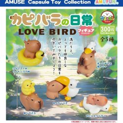 画像1: カピバラの日常フィギュアLOVEBIRD（１１月）【▲３００円カプセル　４０個入り　アミューズ】＋正規台紙