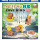 カピバラの日常フィギュアLOVEBIRD（１１月）【▲３００円カプセル　４０個入り　アミューズ】＋正規台紙