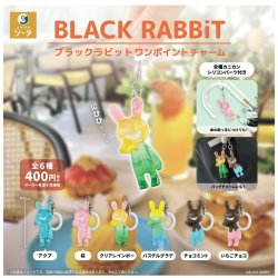 画像1: BLACK RABBiT ワンポイントチャーム（１１月）【▲４００円カプセル　３０個入り　SO-TA】＋正規台紙