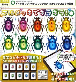画像1: STC ドイツ箱マグネットコレクション オオセンチコガネ特装版（１１月）【▲５００円カプセル　２０個入り　いきもん】＋正規台紙