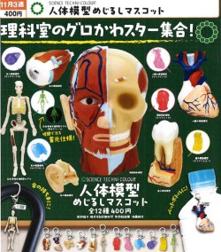 画像1: STC 人体模型めじるしマスコット（１１月）【▲４００円カプセル　３０個入り　いきもん】＋正規台紙