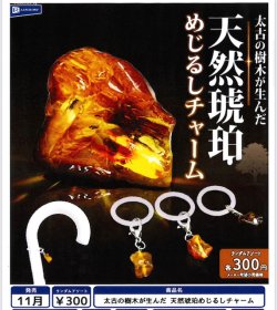 画像1: 太古の樹木が生んだ 天然琥珀めじるしチャーム（１１月）【▲３００円カプセル　４０個入り　レインボー】＋正規台紙