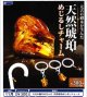 太古の樹木が生んだ 天然琥珀めじるしチャーム（１１月）【▲３００円カプセル　４０個入り　レインボー】＋正規台紙