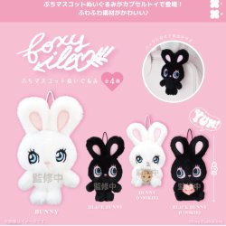 画像1: foxy illustrations　ぷちマスコットぬいぐるみ（１２月）【▲５００円カプセル　２０個入り　フクヤ】＋正規台紙