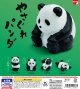 やさぐれパンダ（１１月）【▲２００円カプセル　５０個入り　スタンバイ】＋正規台紙