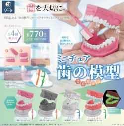 画像1: ＴＦＣ　ミニチュア歯の模型（１２月）【▽１ＢＯＸ４個入り　SO-TA】