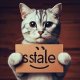 猫の手クリアケース2（１月）【▽２００円カプセル　５０個入り　ターリン】＋正規台紙