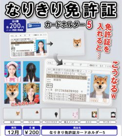 画像1: なりきり免許証カードホルダー5（１２月）【▽２００円カプセル　５０個入り　レインボー】＋正規台紙