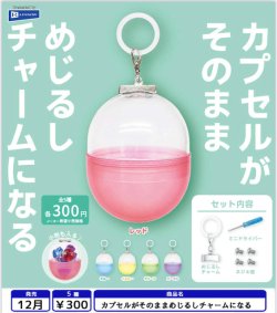 画像1: カプセルがそのままめじるしチャームになる（１２月）【▽３００円カプセル　４０個入り　レインボー】＋正規台紙