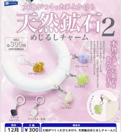 画像1: 大地がつくったひとかけら 天然鉱石めじるしチャーム2（１２月）【▽３００円カプセル　４０個入り　レインボー】＋正規台紙
