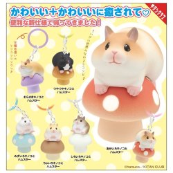 画像1: いろいろキノコとハムスター マーカーチャーム（１２月）【▽３００円カプセル　４０個入り　キタンクラブ】＋正規台紙