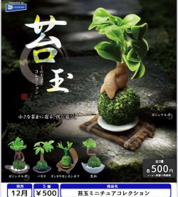 画像1: 苔玉ミニチュアコレクション（１２月）【▽５００円カプセル　２０個入り　レインボー】＋正規台紙