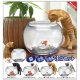 猫と金魚（其ノ弐）（１２月）【▽５００円カプセル　２０個入り　キタンクラブ】＋正規台紙
