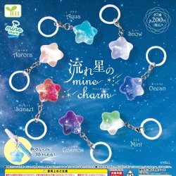 画像1: 流れ星のｍｉｎｅチャーム（１２月）【▽２００円カプセル　５０個入り　エール】＋正規台紙