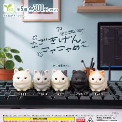 画像1: ごきげんニャニャめ（１２月）【▽３００円カプセル　４０個入り　エール】＋正規台紙