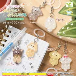 画像1: つぶらな瞳の犬ｍｉｎｅチャーム（１２月）【▽２００円カプセル　５０個入り　エール】＋正規台紙
