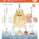ジュエリーヌ めじるしコレクション（１２月）【▽３００円カプセル　４０個入り　ブライトリンク】＋正規台紙