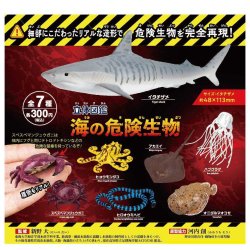 画像1: カプセル立体図鑑 海の危険生物（１２月）【▽３００円カプセル ４０個入り ザ・アクセス】＋正規台紙