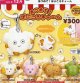 あつめて！ぽぶころチャーム（１２月）【▽３００円カプセル ４０個入り ベネリック】＋正規台紙