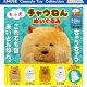 もふ犬チャウねんぬいぐるみ（１月）【▼５００円カプセル ２０個入り アミューズ】＋正規台紙