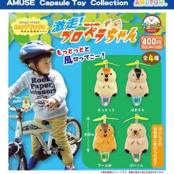 画像1: マーモットのもっとっと激走プロペラちゃん（１月）【▼４００円カプセル ３０個入り アミューズ】＋正規台紙