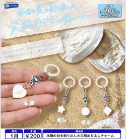 画像1: 本物の貝を削り出した天然めじるしチャーム（１月）【▼２００円カプセル ５０個入り レインボー】＋正規台紙