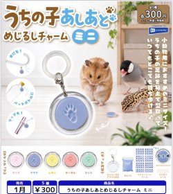 画像1: うちの子あしあとめじるしチャーム ミニ（１月）【▼３００円カプセル ４０個入り レインボー】＋正規台紙