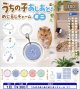 うちの子あしあとめじるしチャーム ミニ（１月）【▼３００円カプセル ４０個入り レインボー】＋正規台紙