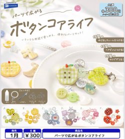 画像1: パーツで広がるボタンコアライフ（１月）【▼３００円カプセル ４０個入り レインボー】＋正規台紙