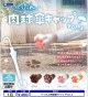 ぺったん肉球傘キャップVol.3（１月）【▼４００円カプセル ３０個入り レインボー】＋正規台紙