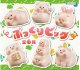 ぷっくりピッグ（１月）【▼３００円カプセル ４０個入り 十影堂エンターテイメント】＋正規台紙