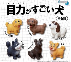 画像1: 目力がすごい犬フィギュア（１月）【▼３００円カプセル ４０個入り 十影堂エンターテイメント】＋正規台紙