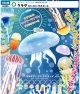 NTC MONO+ クラゲ ぷにぷにマスコット（１月）【▼４００円カプセル ３０個入り いきもん】＋正規台紙