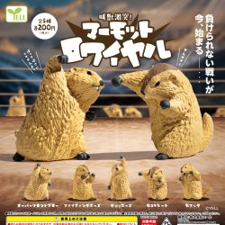 画像1: マーモットロワイヤル（再販）（１月）【▼２００円カプセル ５０個入り エール】＋正規台紙