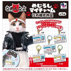 画像1: めじるしマイチャーム なめ猫免許証（１月）【▼３００円カプセル ４０個入り Jドリーム】＋正規台紙