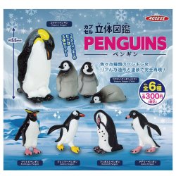 画像1: カプセル立体図鑑 ペンギン（１月）【▼３００円カプセル ４０個入り ザ・アクセス】＋正規台紙