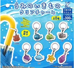 画像1: うみのいきもの クリアチャーム（１月）【▼３００円カプセル ４０個入り 吉岡工業所】＋正規台紙