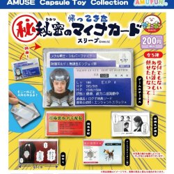 画像1: 帰ってきた秘密のマイナカードスリーブ（２月）【〇200円カプセル 50個入り アミューズ】＋正規台紙