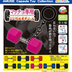 画像1: マッチョ専用ここだよますこっと（２月）【〇300円カプセル 40個入り アミューズ】＋正規台紙