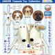 ボル＆ゾーイぬいぐるみ（３月）【〇500円カプセル 20個入り アミューズ】＋正規台紙