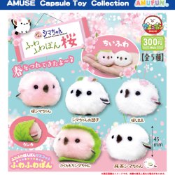 画像1: ふくふくシマちゃん　ふわふわぽん桜（２月）【〇300円カプセル 40個入り アミューズ】＋正規台紙
