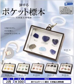 画像1: 旅するポケット標本 天然鉱石博物館（２月）【〇300円カプセル 40個入り レインボー】＋正規台紙