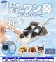 ぷにゅぷにゅワン鼻めじるしチャーム（２月）【〇400円カプセル 30個入り レインボー】＋正規台紙