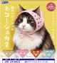 猫のバブーシュカ ネコーシュカ2（２月）【〇500円カプセル 20個入り レインボー】＋正規台紙