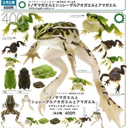 画像1: NTC MONO+ トノサマガエルとシュレーゲルアオガエルとアマガエル マグネット&ボールチェーン（３月）【〇400円カプセル 30個入り いきもん】＋正規台紙
