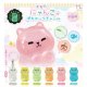 おねがいニャンコぷちマークチャーム（２月）【〇200円カプセル 50個入り ホットライン】＋正規台紙