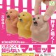 だまることを知らないマーモット【再販】（３月）【〇200円カプセル 50個入り エール】＋正規台紙
