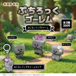 画像1: ぷちろっくゴーレム めじるしリングチャーム（２月）【〇300円カプセル 40個入り アオポップ】＋正規台紙