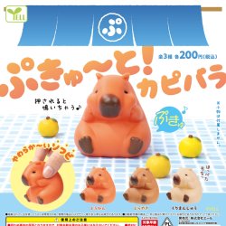 画像1: ぷきゅーと！カピバラ（２月）【〇200円カプセル 50個入り エール】＋正規台紙