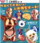 STC 人体模型ポーチ（２月）【〇400円カプセル 30個入り いきもん】＋正規台紙